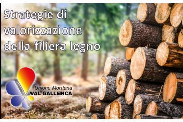 Strategie di valorizzazione della filiera legno. Questionario per le imprese del settore forestale