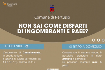 Raccolta Ingombranti